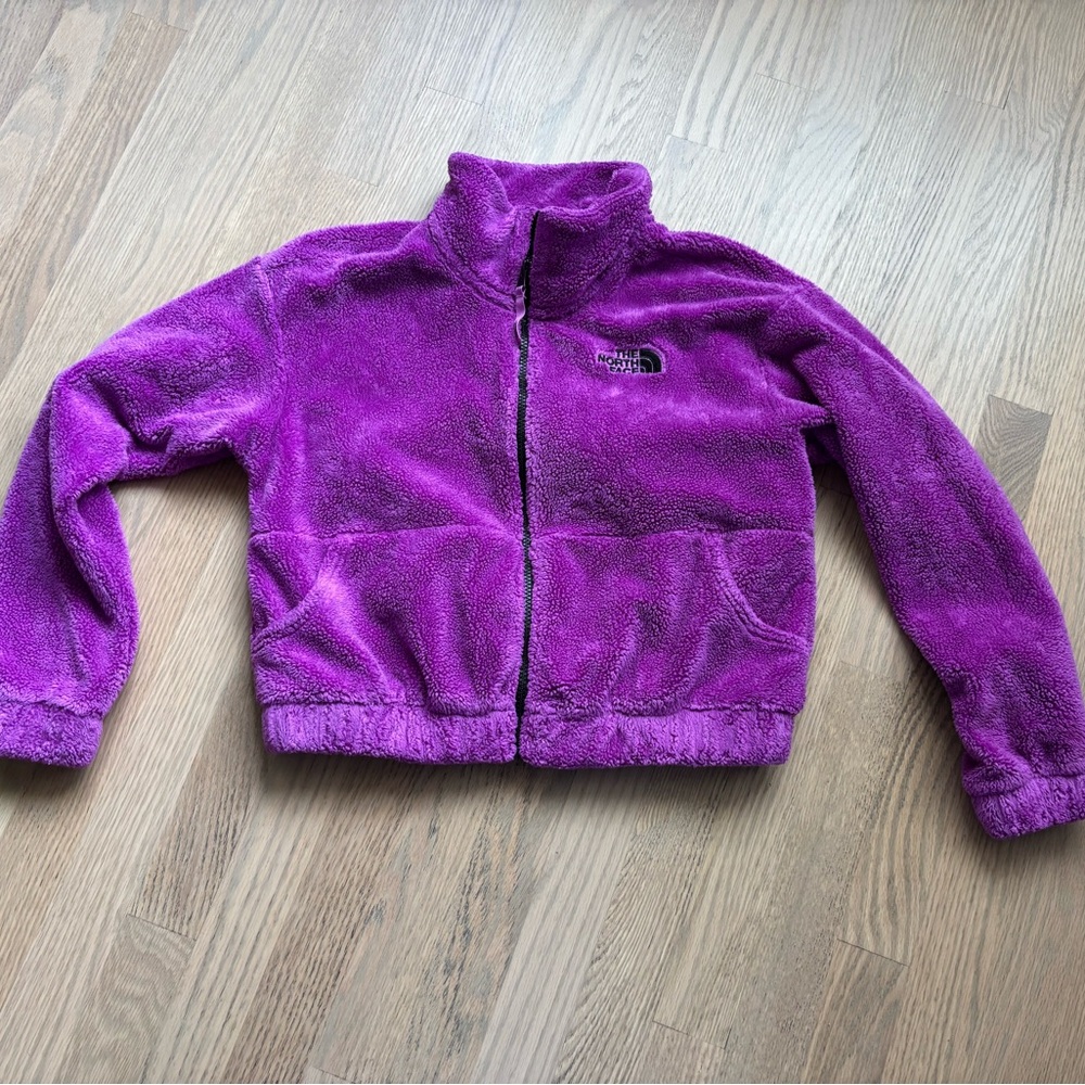 The North Face Kids Girl Large 14Y Purple Fleece Jacket